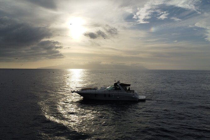 4 Hour Boat Tour with Snorkeling from Puerto Rico and Mogan - Reliability and Customer Satisfaction