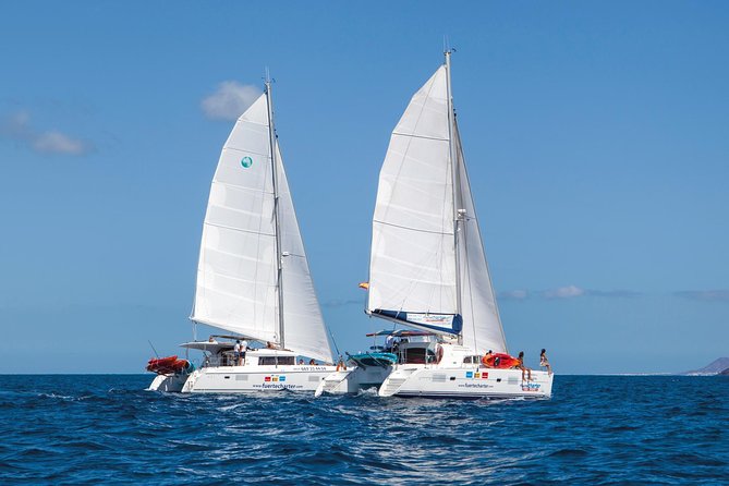 4-Hour Boat Trip to Isla de Lobos from Fuerteventura (Combo Deluxe) - Departure Point and Booking Details at Corralejo Harbour