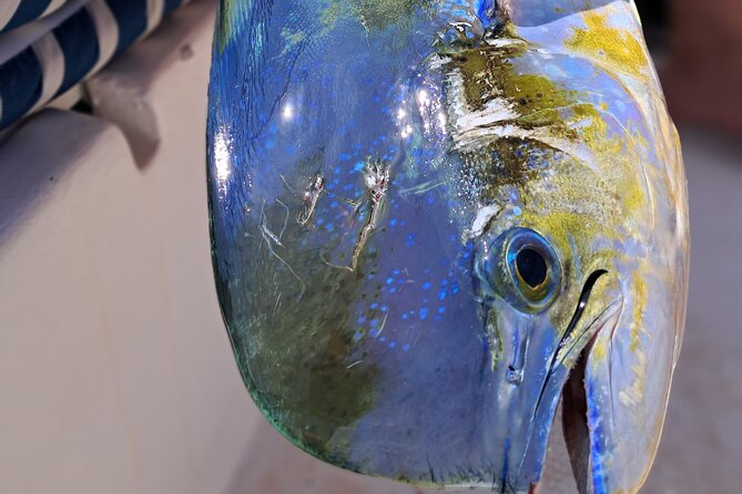 4 Hour Costa Maya Fishing and Snorkeling Experience - Key Points