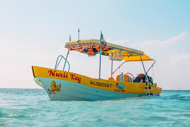 4 Hour Cozumel Reefs Snorkeling - What to Expect from the Snorkeling Experience