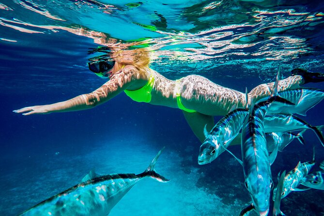 4 Hour Cozumel Reefs Snorkeling - The Guide and Crew: Knowledgeable and Attentive