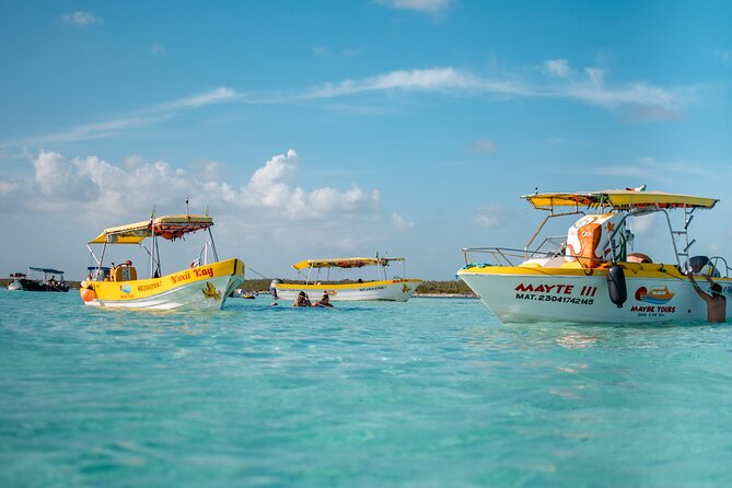 4 Hour Cozumel Reefs Snorkeling - Pacing and Duration: Perfect for Limited Time