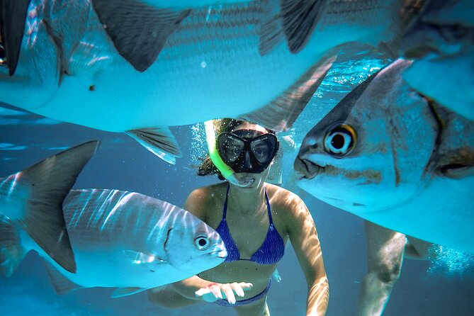 4 Hour Cozumel Reefs Snorkeling - Who Will Appreciate This Tour?
