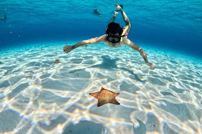 4 Hour Cozumel Turtle Sanctuary Experience on a Luxury Catamarán - Snorkeling at Cozumel’s Reef Locations