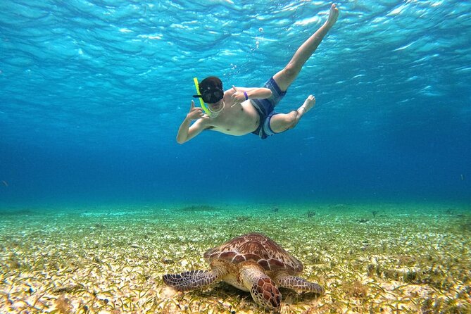 4 Hour Cozumel Turtle Sanctuary Experience on a Luxury Catamarán - Relaxing at Cielito Sandbank