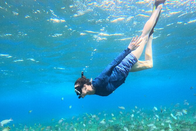 4 Hour Cozumel Turtle Sanctuary Experience on a Luxury Catamarán - Onboard Amenities and Practical Tips