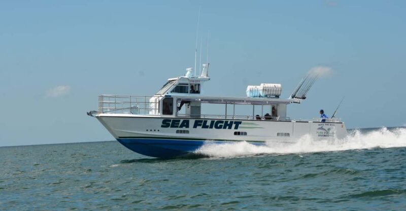 4 Hour Deep Sea Up to 9 Miles - The Fish Cleaning and Return Process