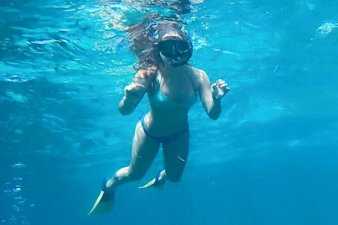 4 Hour Egmont Key Island Tour With Dolphins & Snorkeling Included - Key Points