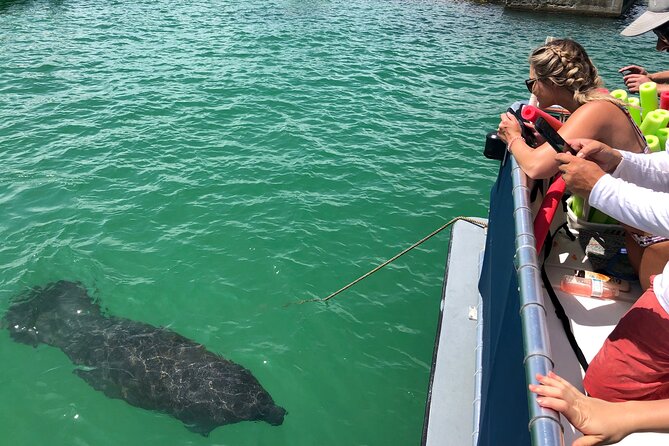 4 Hour Egmont Key Island Tour With Dolphins & Snorkeling Included - Wildlife Viewing: Dolphins, Manatees, and Bird Sanctuaries
