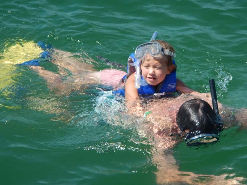 4 Hour Egmont Key Island Tour With Dolphins & Snorkeling - Starting Point: Departure from Gulfport, Florida