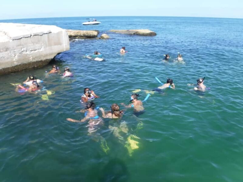 4 Hour Egmont Key Island Tour With Dolphins & Snorkeling - What Sets This Tour Apart