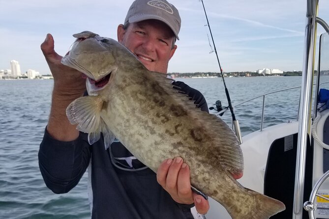4-hour Fishing Adventure at Belleair Causeway - The Variety of Fish in Florida’s Nearshore Waters