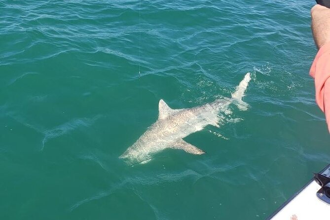 4-hour Fishing Adventure at Belleair Causeway - Accessibility and Group Size
