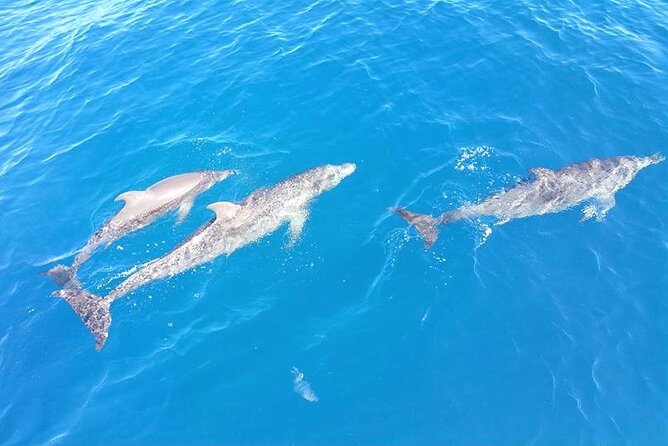 4-Hour Fort Lauderdale Sailing Charter - Who Will Love This Sailing Charter?