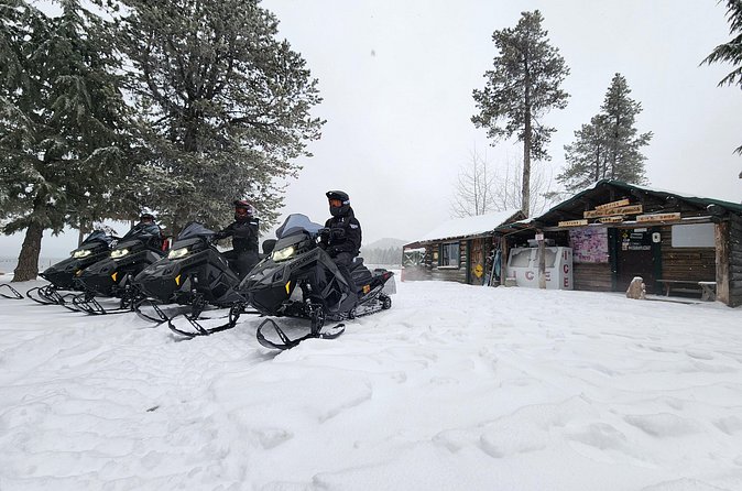 4-Hour Guided Scenic National Monument Snowmobile Tour in Bend - Snowmobiles, Helmets, and Goggles Are Included for Safety