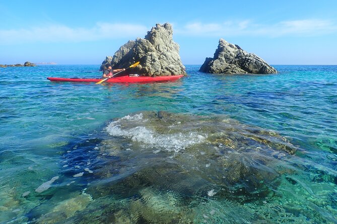 4-Hour Kayak Tour at Capo Figari (Golfo Aranci) - Wildlife Encounters: Dolphin Sightings and Marine Life