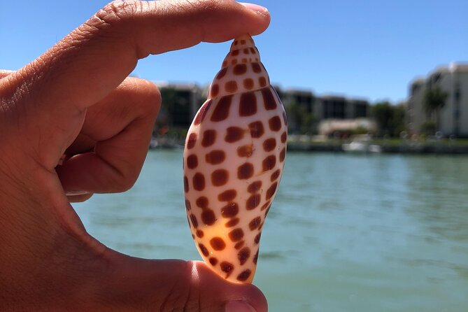 4 Hour Kice Island Shelling Trip - Kice Island Shelling Adventure