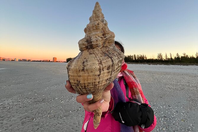 4 Hour Kice Island Shelling Trip - Wildlife Watching and Marine Ecosystem Insights