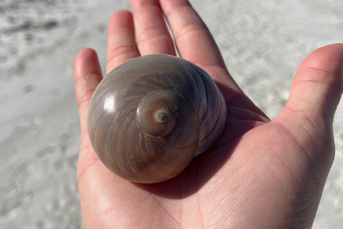 4 Hour Kice Island Shelling Trip - Booking and Cancellation Policies