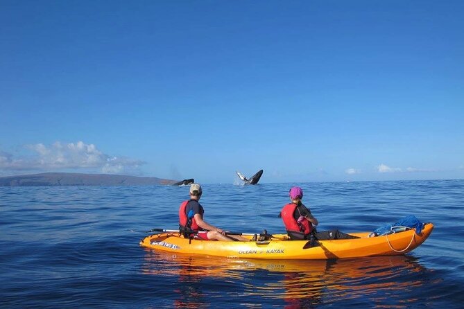 4-Hour Makena Whale Watch Tour - Wildlife Encounters: Whales and Dolphins