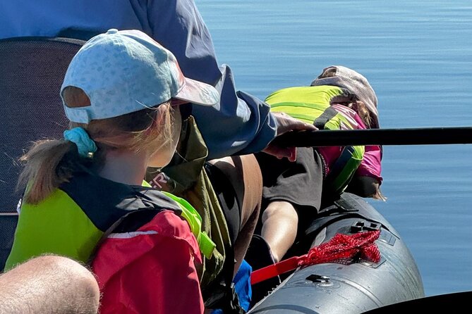 4-Hour Mangrove Island and Dolphin Watch Sandbar in Fort Pierce - Premium Equipment for Comfort and Safety