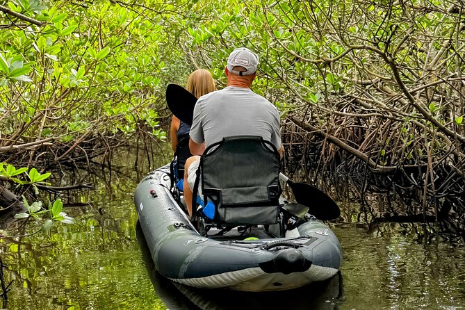 4-Hour Mangrove Island and Dolphin Watch Sandbar in Fort Pierce - Wildlife Encounters at the Sandbar and Mangrove Island