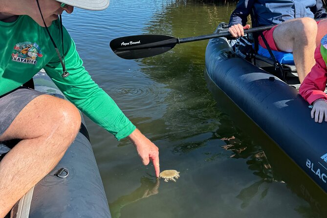 4-Hour Mangrove Island and Dolphin Watch Sandbar in Fort Pierce - The Balanced Mix of Paddling and Motorized Return