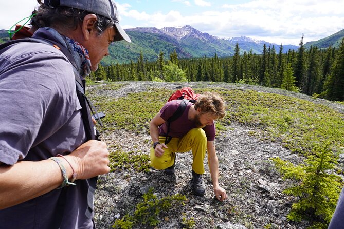 4 Hour Off-Trail Hiking Tour in Denali - Wildlife Encounters and Changing Course