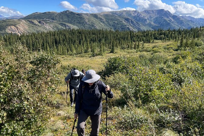 4 Hour Off-Trail Hiking Tour in Denali - Cultural and Natural History Insights from Guides