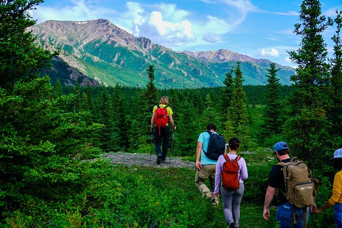 4 Hour Off-Trail Hiking Tour in Denali - Practical Aspects: Equipment and Weather Preparedness