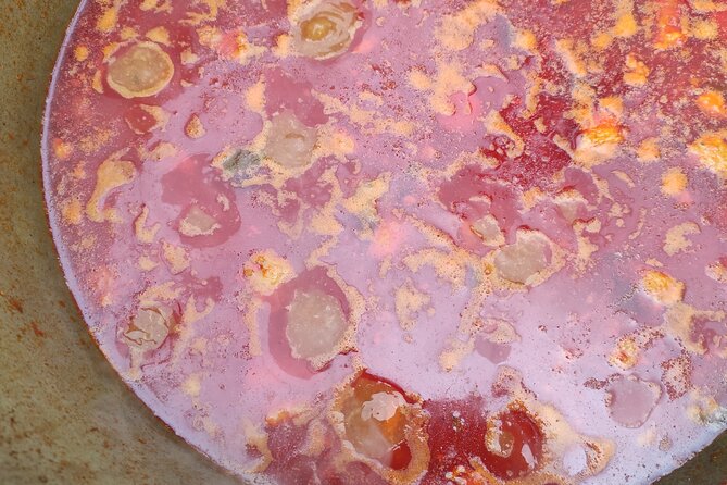 4-Hour Open Air Gulash Cooking with nature in Hungary - Sampling Regional Wines and Snacks During Cooking