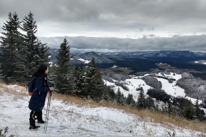 4-Hour Private Alpine Great George at High Wall Mountain from Vienna - Explore Austria’s Hidden Alpine Beauty Near Vienna