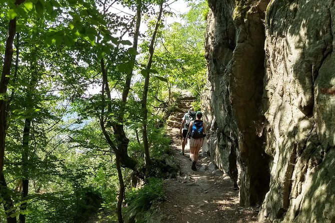 4-Hour Private Alpine Hiking Tour 'In the footsteps of king Lionheart' - Price and Booking Insights