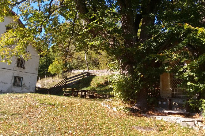 4-Hour Private Alpine Hiking Tour 'Matterhorn of the Prealps' - Value and Booking Details