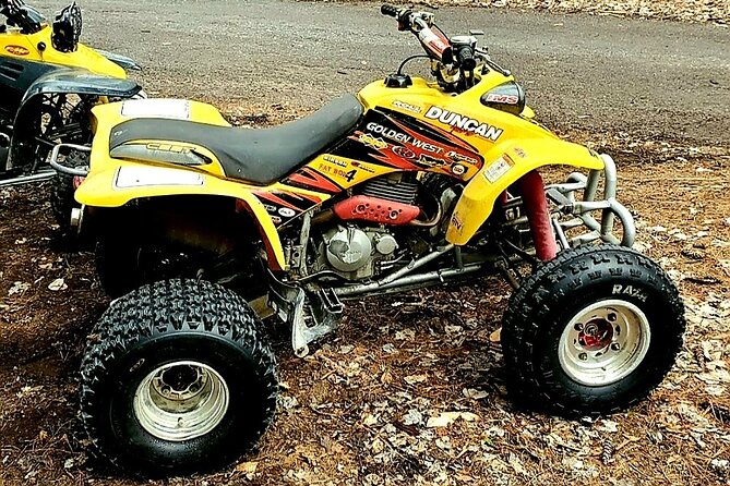 4-Hour Private ATV Riding Experience in Adirondacks - Starting Point at Grant Island ATV in Greig, NY