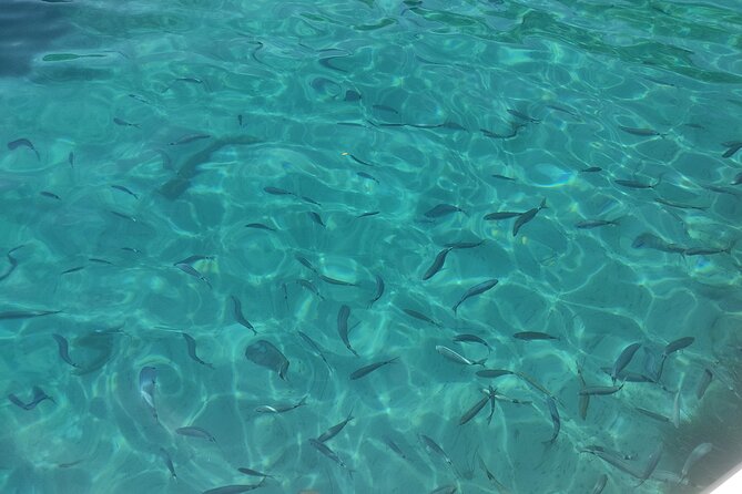 4-Hour Private Boat Tour in Corfu - Practical Details and Accessibility