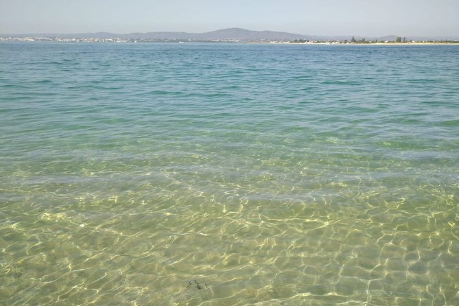 4-Hour Private Boat Tour in Ria Formosa - Key Points