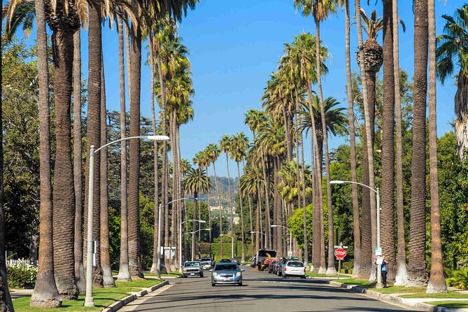 4-Hour private limo Tour of Los Angeles by a TV personality with Free Drinks - Luxury and Comfort of the Private Limousine