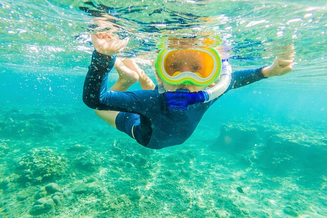 4 Hour Private Snorkeling Tour in Kona - Prime Snorkeling Locations in Kona