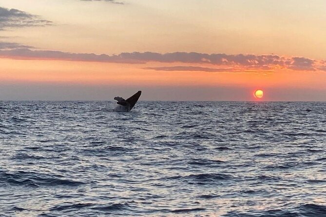 4 Hour Private Sunset Fishing Charter - The Boat and Equipment