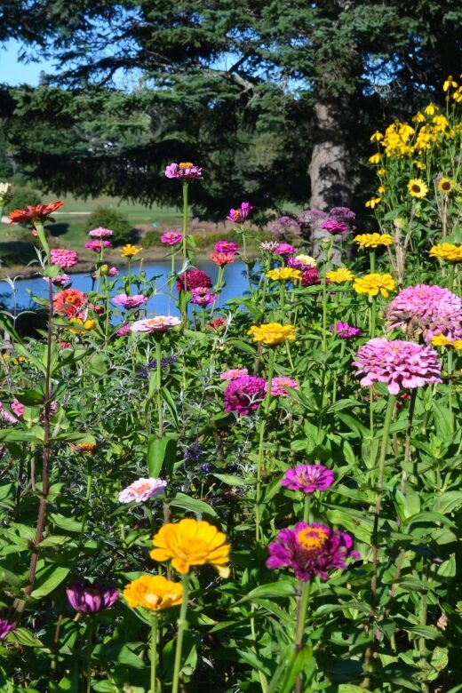 4 Hour Private Tour: Acadia, Fjord, Gardens & Mansions - Limitations and Considerations