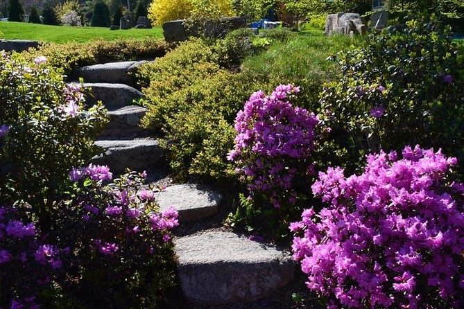 4 Hour Private Tour: Explore Acadia Nat'l Park, Fjord & Mansions - Thunder Hole’s Dramatic Water Crashes