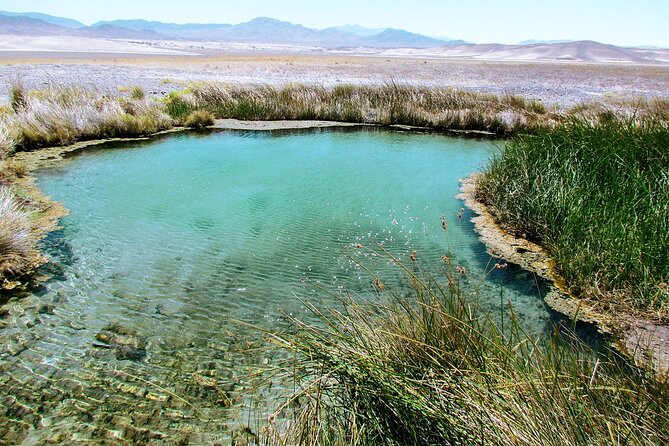 4-Hour Private Tour in Hidden Hot Springs Outside Death Valley - The Unique Appeal of This Hot Springs and Stargazing Tour