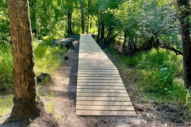 4-hour Rental Mountain Bike Experience - Key Points