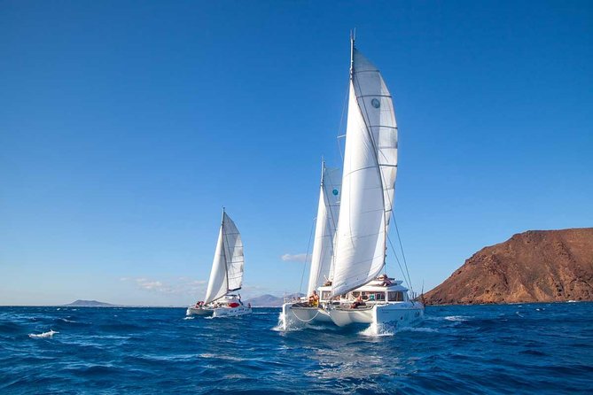 4-Hour Sailing Tour of Lobos Island from Fuerteventura - Pacing, Timing, and Suitability