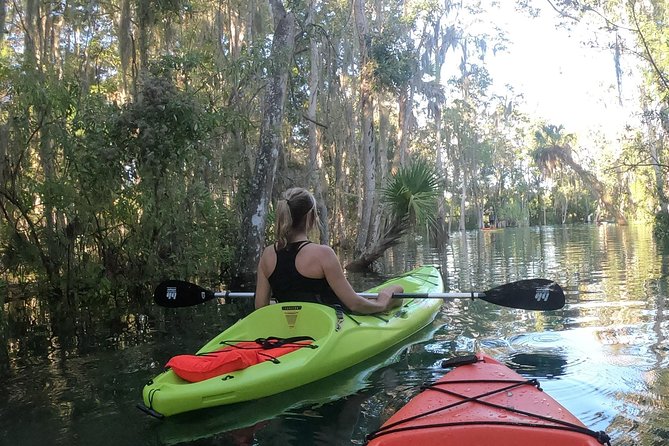 4 Hour Single Kayak Rental In Crystal River, Florida - Why This Tour Is a Great Choice for Self-Guided Explorers