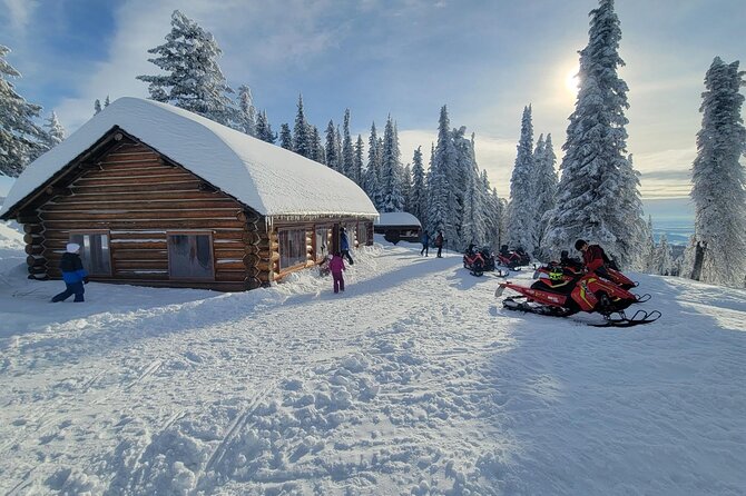 4-Hour Snowmobile Rental in Priest Lake - Who Will Enjoy This Snowmobile Tour?