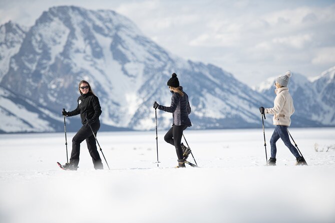 4 hour Snowshoe in Grand Teton National Park - Explore Grand Teton in Winter on a Guided Snowshoe Adventure