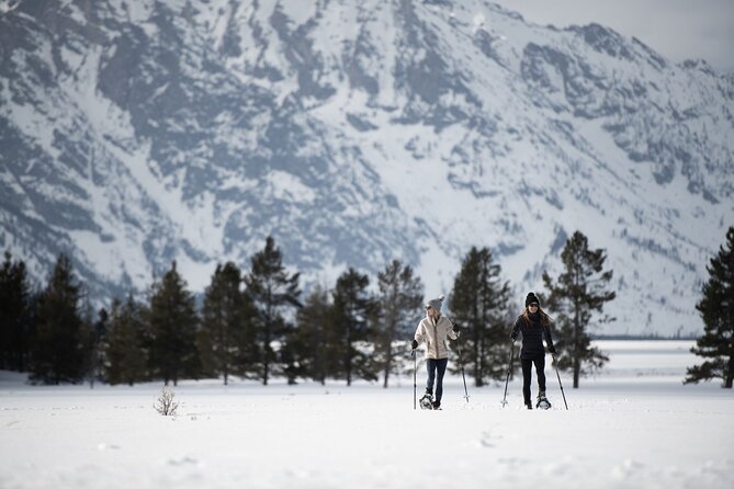 4 hour Snowshoe in Grand Teton National Park - Starting Point and Transportation in Jackson Hole