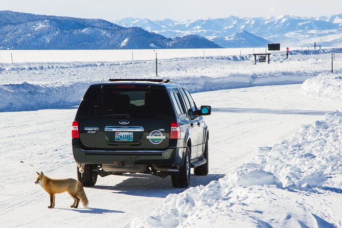 4 hour Snowshoe in Grand Teton National Park - Explore the Snowy Backcountry of Grand Teton